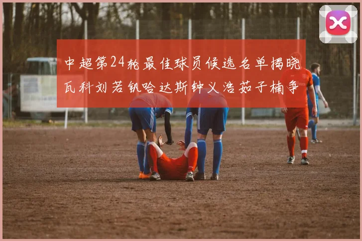 中超第24轮最佳球员候选名单揭晓瓦科刘若钒哈达斯钟义浩茹子楠争夺荣誉