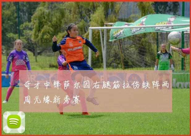 奇才中锋萨尔因右腿筋拉伤缺阵两周无缘新秀赛