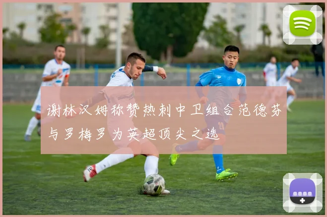 谢林汉姆称赞热刺中卫组合范德芬与罗梅罗为英超顶尖之选